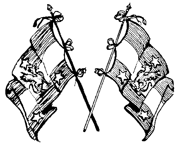 flags2.gif (14171 bytes)